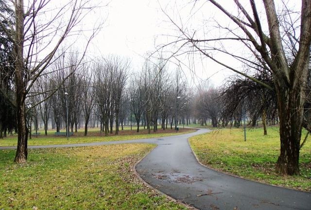 Bosco Bruzzano